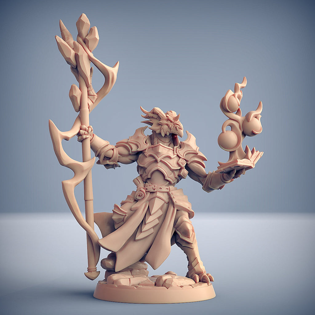 3D Printed Artisan Guild Scramax the Battlemage The Dragonguard 28mm 32mm