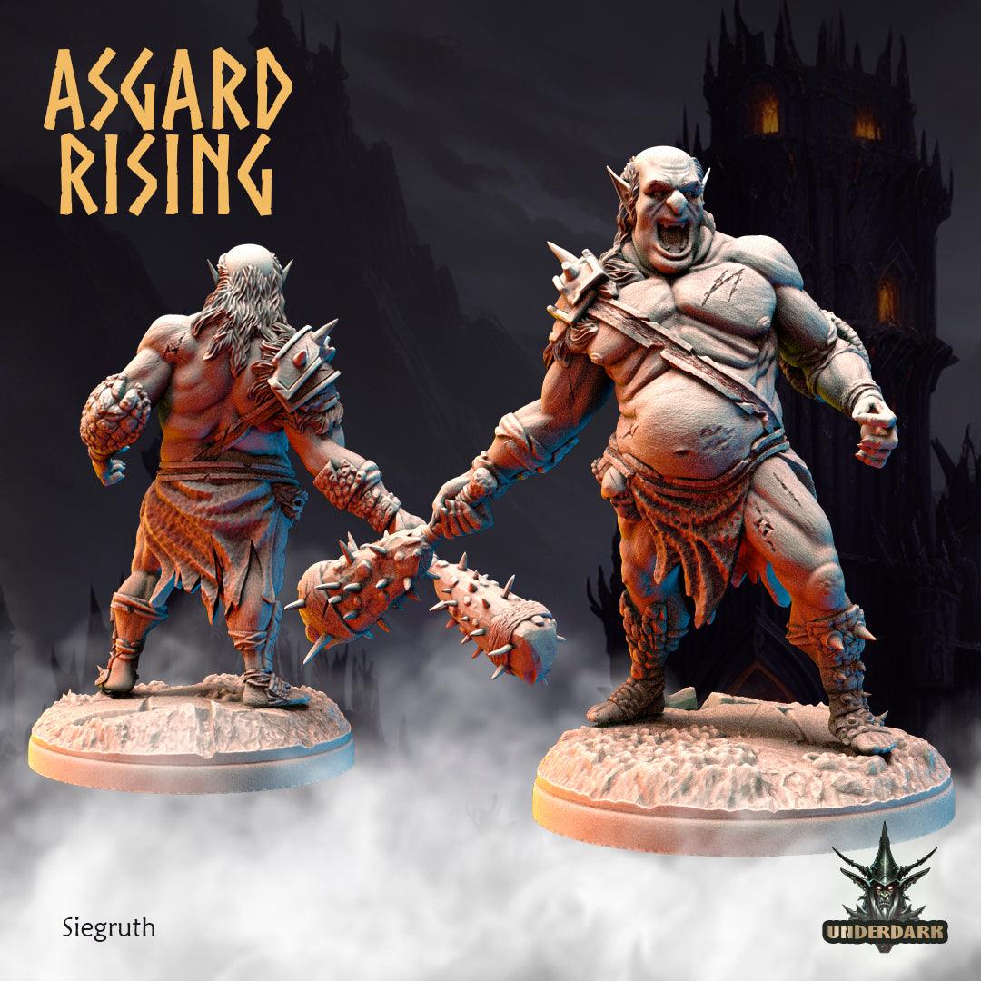 3D Printed Asgard Rising Siegruth 28 32 mm Wargaming DnD