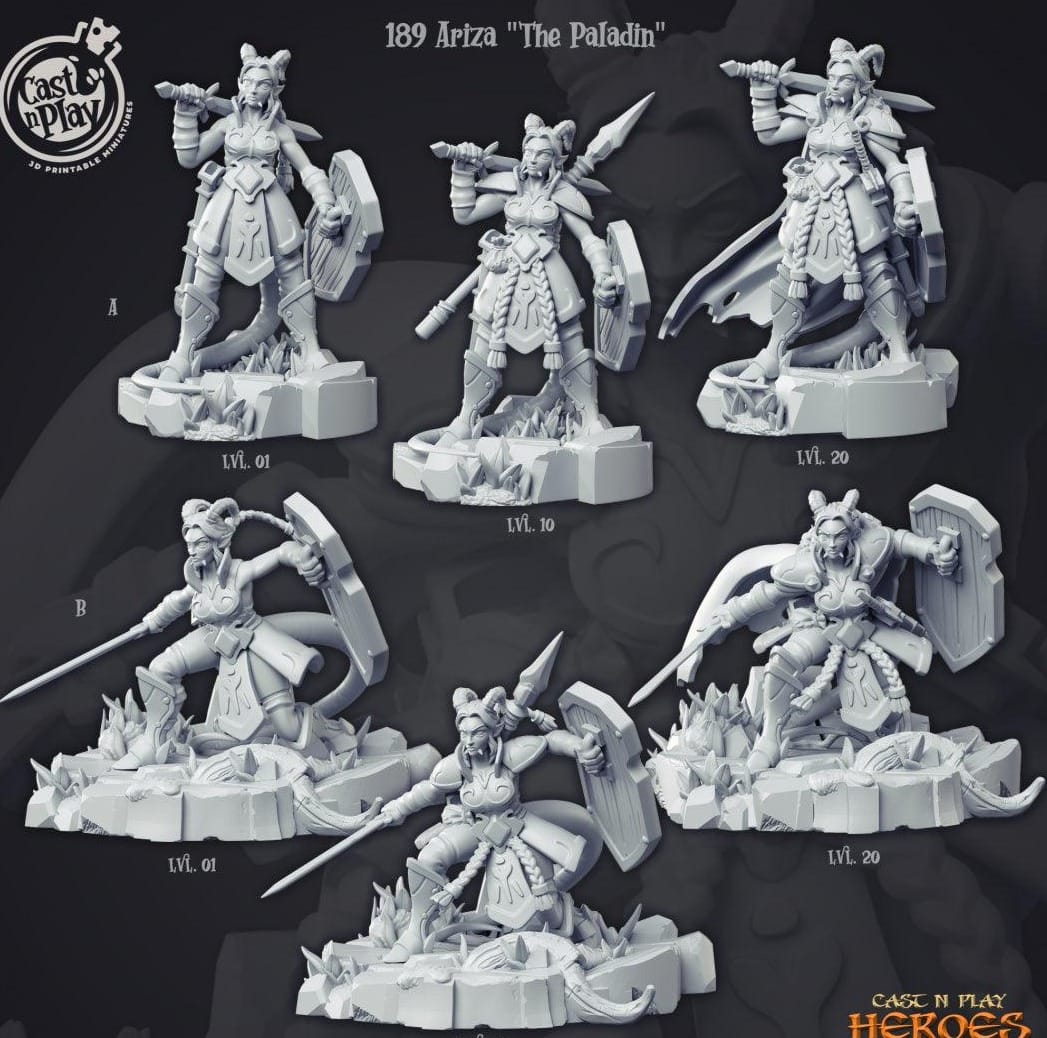 3D Printed Cast n Play Ariza the Paladin Heroes Vol. 1 28mm 32mm D&D