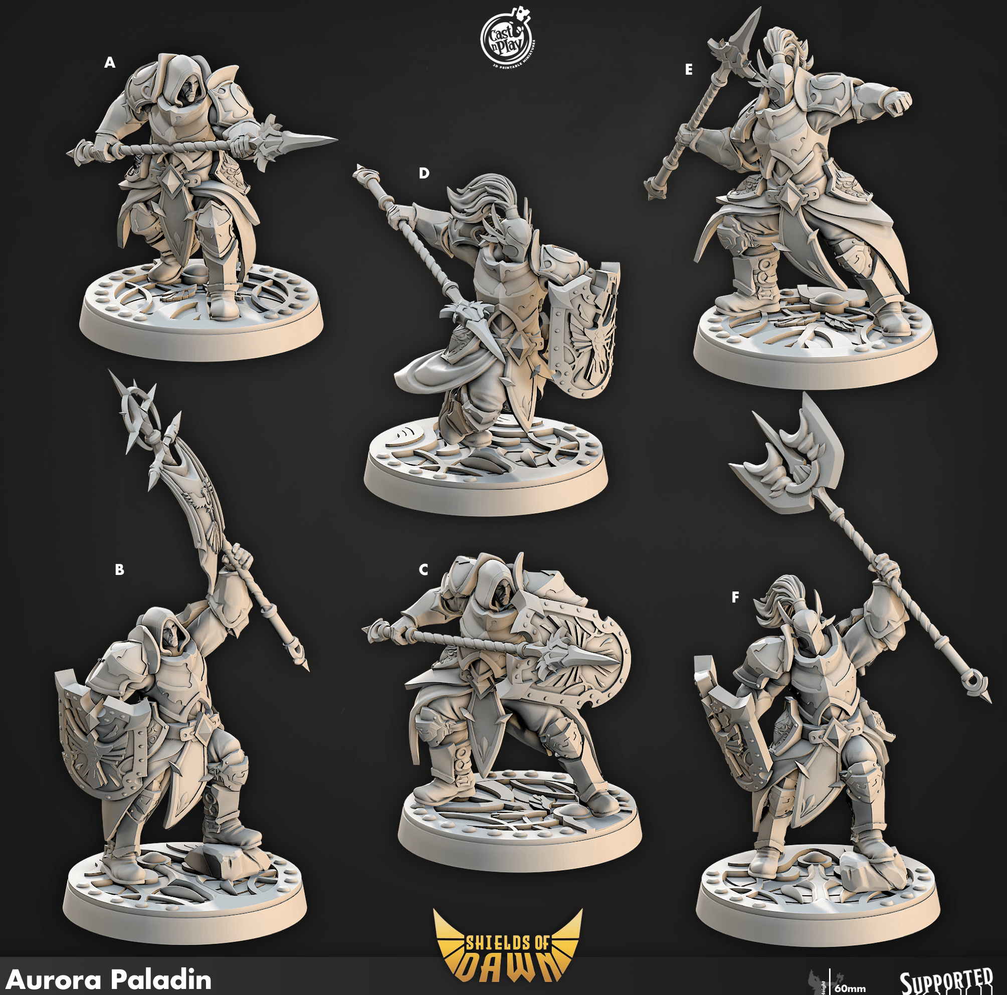 3D Printed Cast n Play Aurora Paladin Shields of Dawn 28mm 32mm D&D