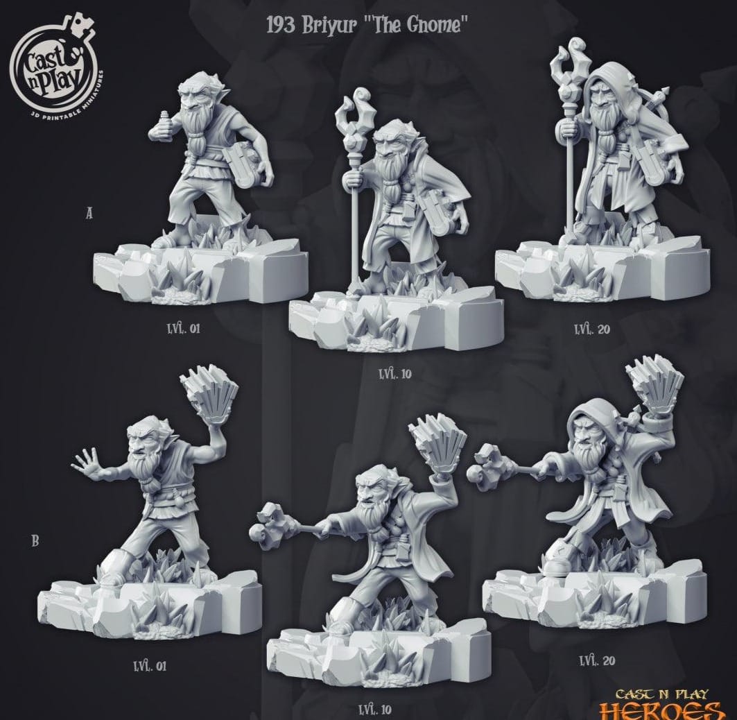 3D Printed Cast n Play Briyur the Gnome Heroes Vol. 1 28mm 32mm D&D