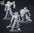 3D Printed Cast n Play Elvish Warrior Champion Set 28mm 32mm D&D