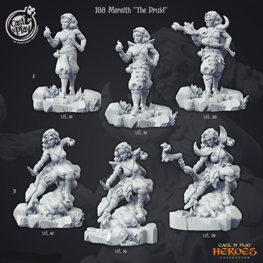 3D Printed Cast n Play Mereith the Druid Heroes Vol. 1 28mm 32mm D&D
