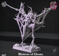 3D Printed Cast n Play Mistress of Gloom Fear the Void 28mm 32mm D&D
