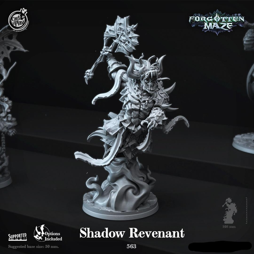 3D Printed Cast n Play Shadow Revenant Forgotten Maze 28mm 32mm D&D