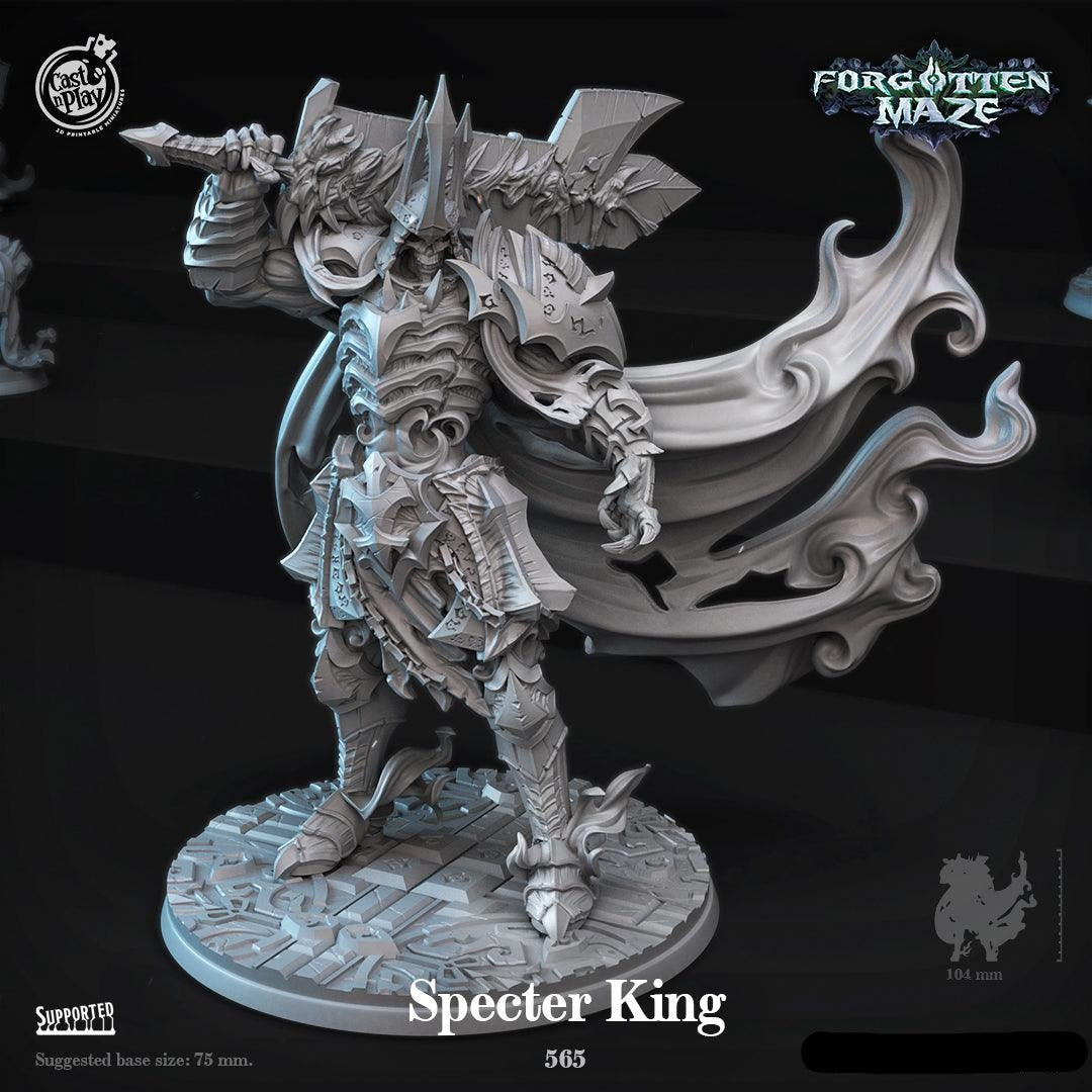 3D Printed Cast n Play Specter King Forgotten Maze 28mm 32mm D&D