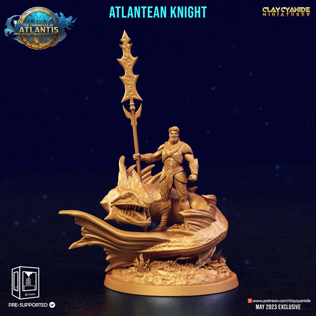 3D Printed Clay Cyanide Atlantean Knights The Chronicles of Atlantis 28 32 mm D&D