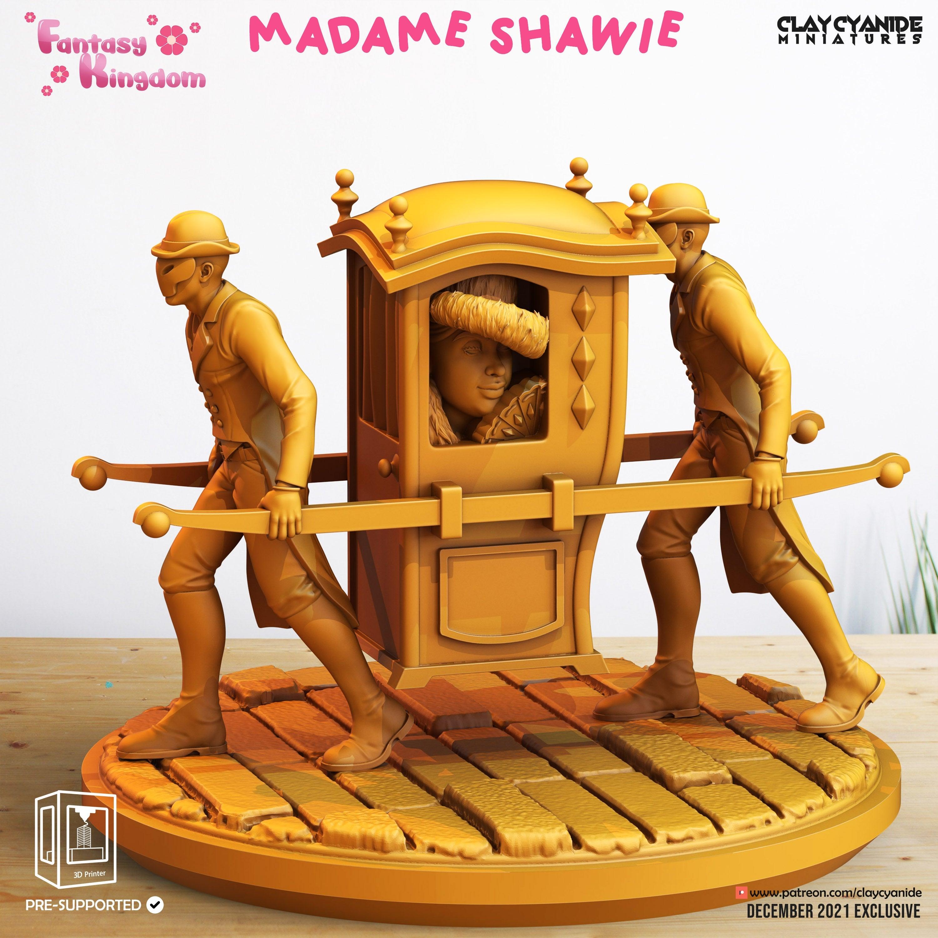 3D Printed Clay Cyanide Fantasy Kingdom - Madame Shawie 28mm 32mm D&D