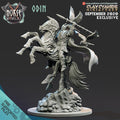 3D Printed Clay Cyanide Odin Norse Mythology 28 32 mm D&D