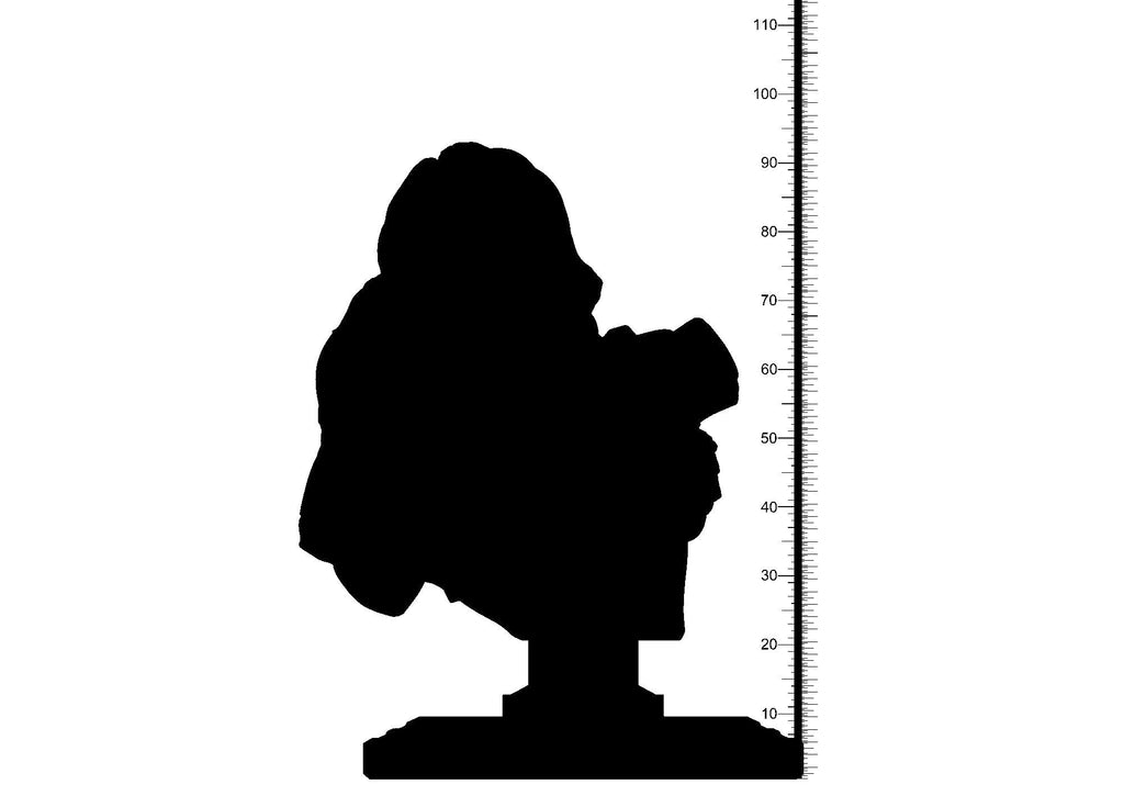 3D Printed Clay Cyanide Red Sonja Bust Hyborean Age Ragnarok D&D