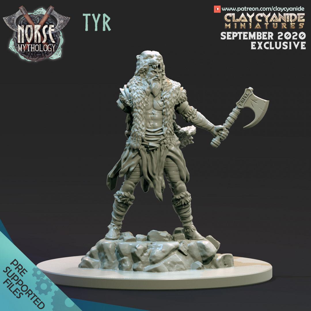 3D Printed Clay Cyanide Tyr Norse Mythology 28 32 mm D&D