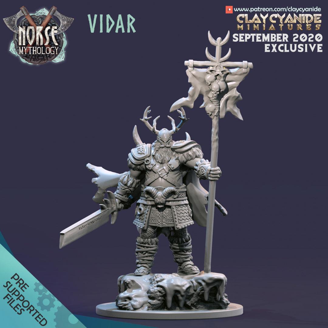 3D Printed Clay Cyanide Vidar Norse Mythology 28 32 mm D&D
