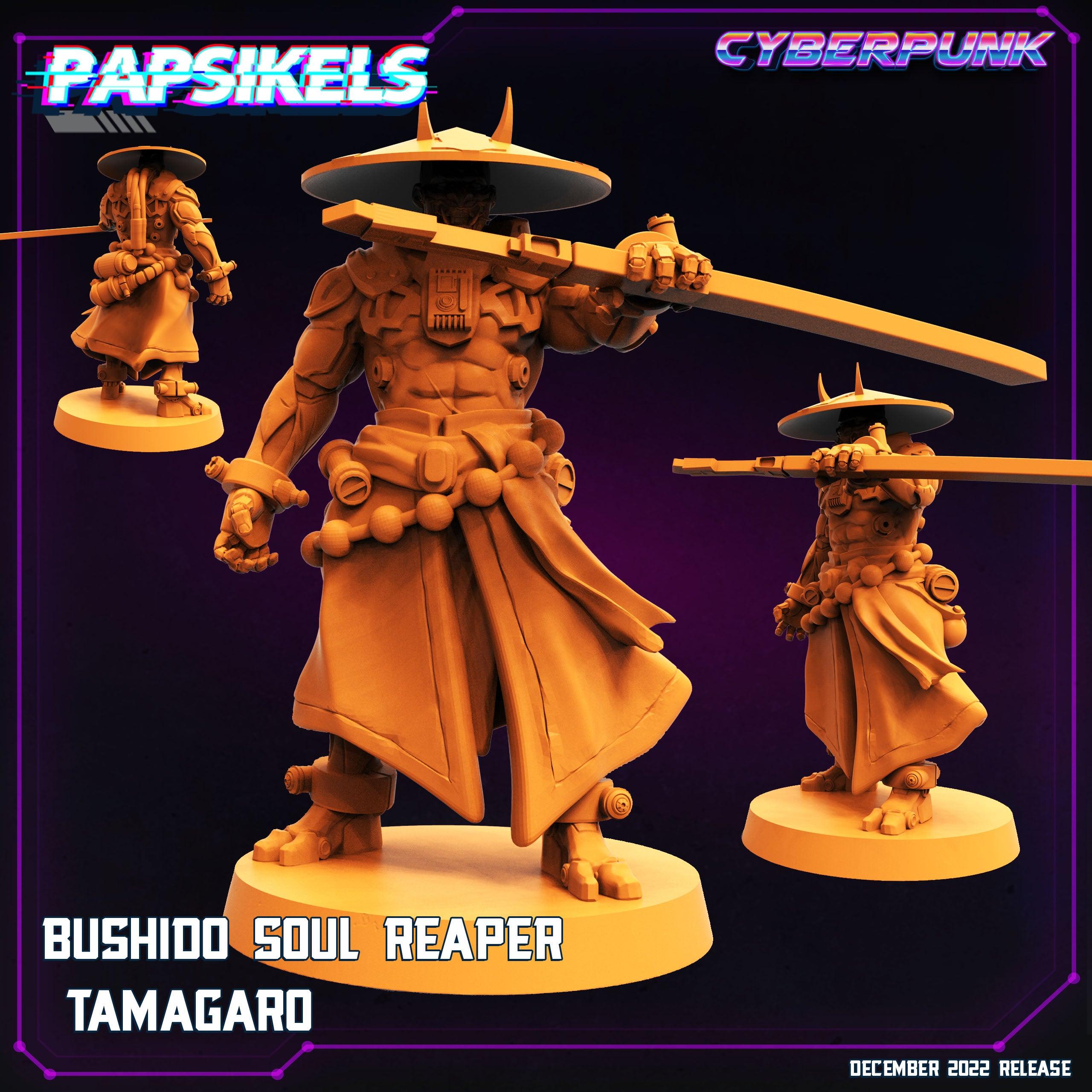 3D Printed Papsikels Cyberpunk Sci-Fi Bushido Soul Reaper Tamagaro - 28mm 32mm