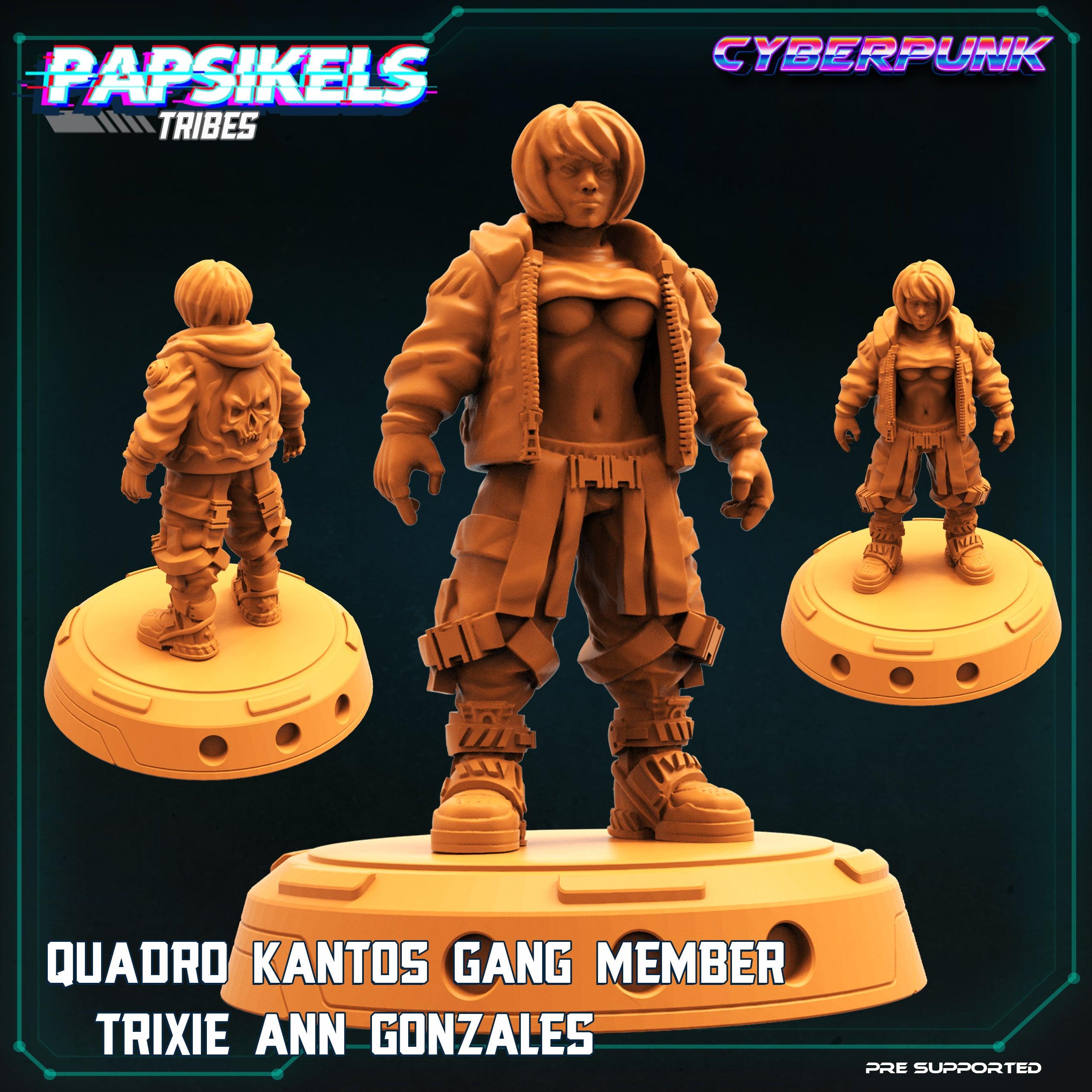 3D Printed Papsikels Cyberpunk Sci-Fi Quadro Kantos Gang Trixie Ann Gonazales - 28mm 32mm