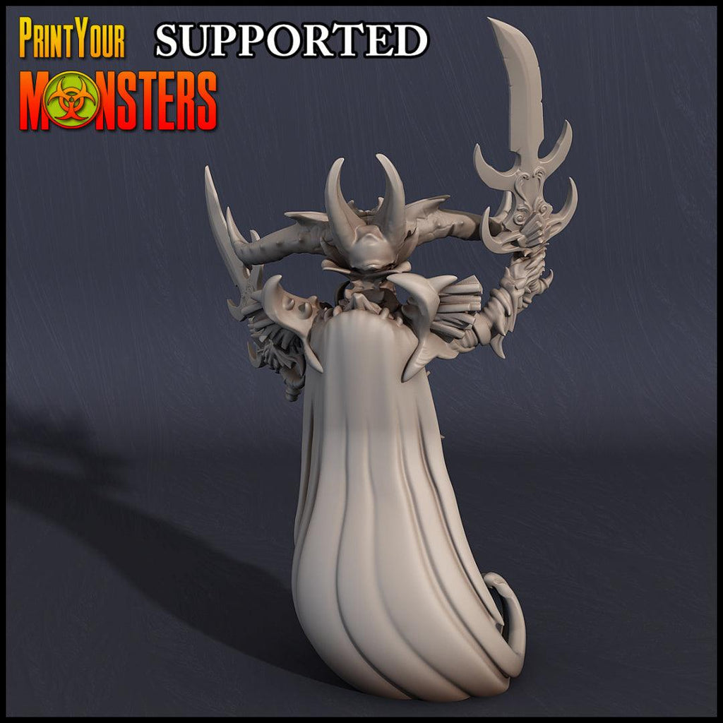 3D Printed Print Your Monsters Dark Elves Chariot and General Set 28mm - 32mm D&D Wargaming