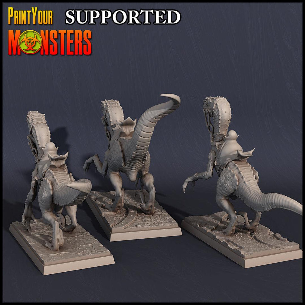 3D Printed Print Your Monsters Dark Elves Raptor Mounts Set 28mm - 32mm D&D Wargaming