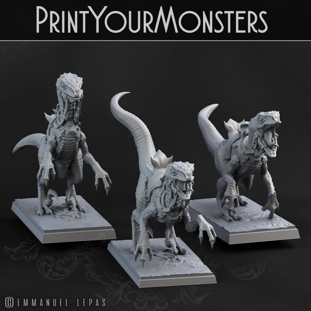 3D Printed Print Your Monsters Dark Elves Raptor Mounts Set 28mm - 32mm D&D Wargaming