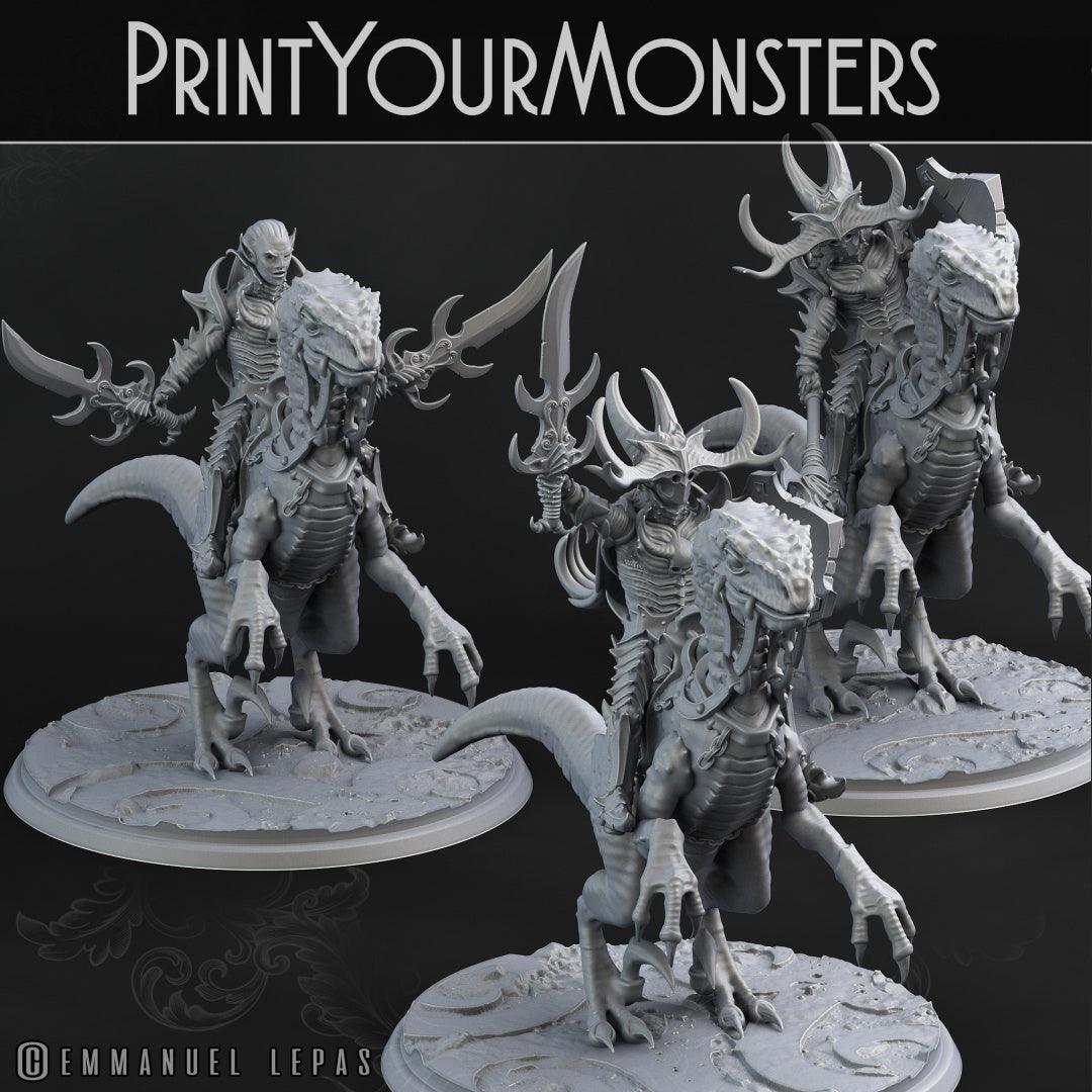 3D Printed Print Your Monsters Dark Elves Rider Set A 28mm - 32mm D&D Wargaming