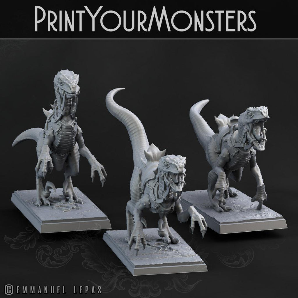 3D Printed Print Your Monsters Dark Elves Rider Set B 28mm - 32mm D&D Wargaming