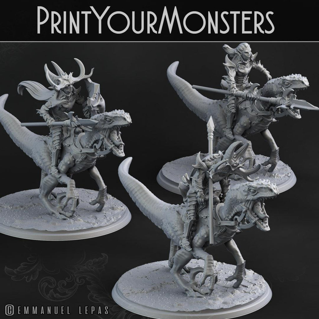 3D Printed Print Your Monsters Dark Elves Rider Set C 28mm - 32mm D&D Wargaming