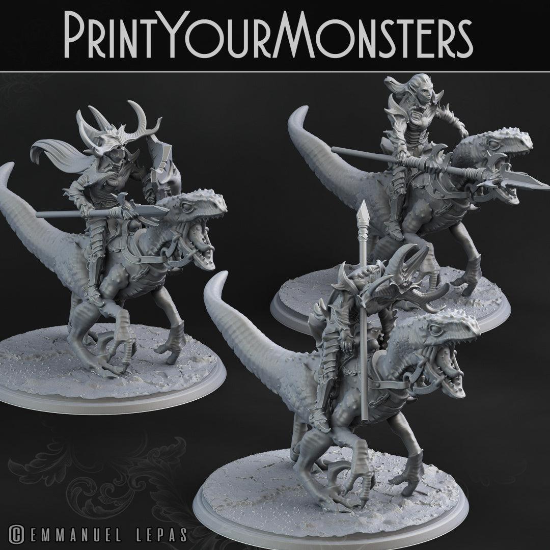 3D Printed Print Your Monsters Dark Elves Rider Set C 28mm - 32mm D&D Wargaming