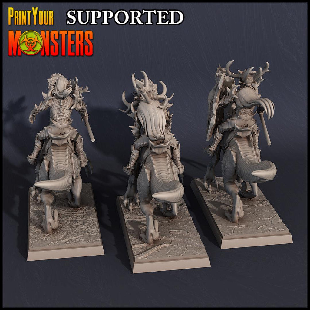 3D Printed Print Your Monsters Dark Elves Rider Set C 28mm - 32mm D&D Wargaming