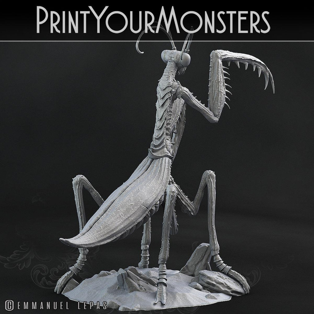 3D Printed Print Your Monsters Giant Mantis Total Insects 28mm - 32mm D&D Wargaming