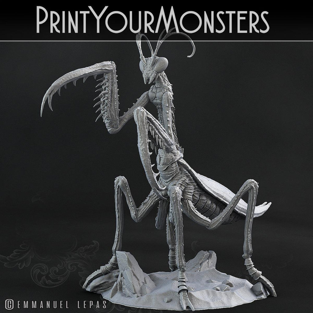 3D Printed Print Your Monsters Giant Mantis Total Insects 28mm - 32mm D&D Wargaming