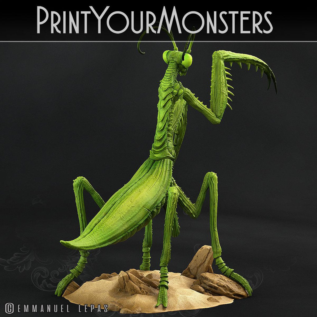 3D Printed Print Your Monsters Giant Mantis Total Insects 28mm - 32mm D&D Wargaming