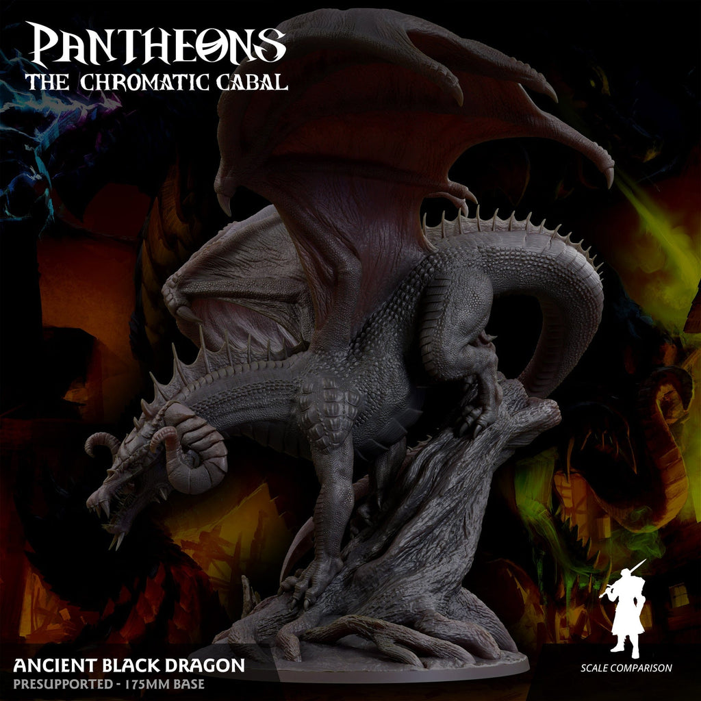 3D Printed Sordane Publishing Ancient Black Dragon Pantheons The Chromatic Cabal 28 32mm D&D
