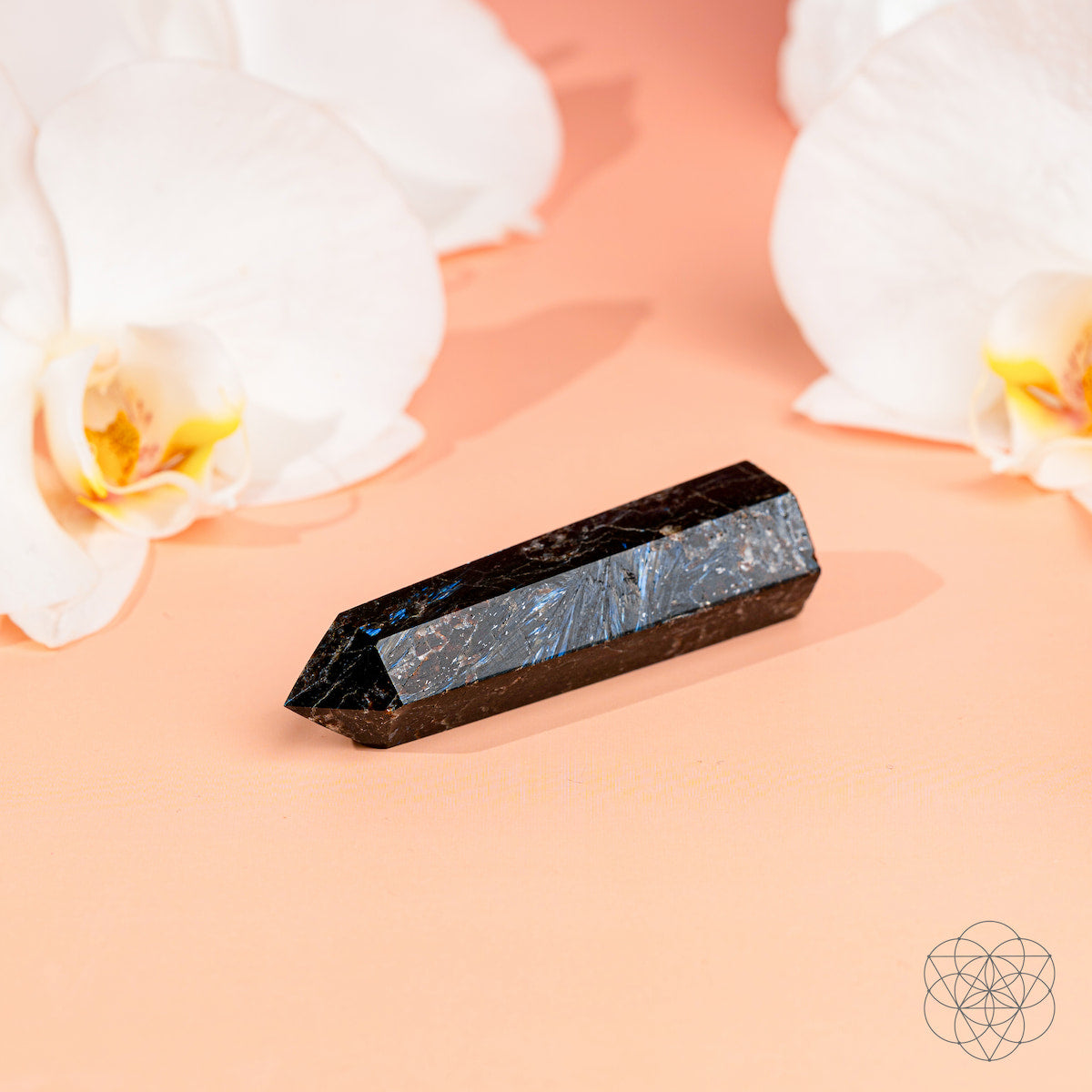 This Is Your Breakthrough – Rare Arfvedsonite Point