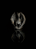 Nightfall Dragon