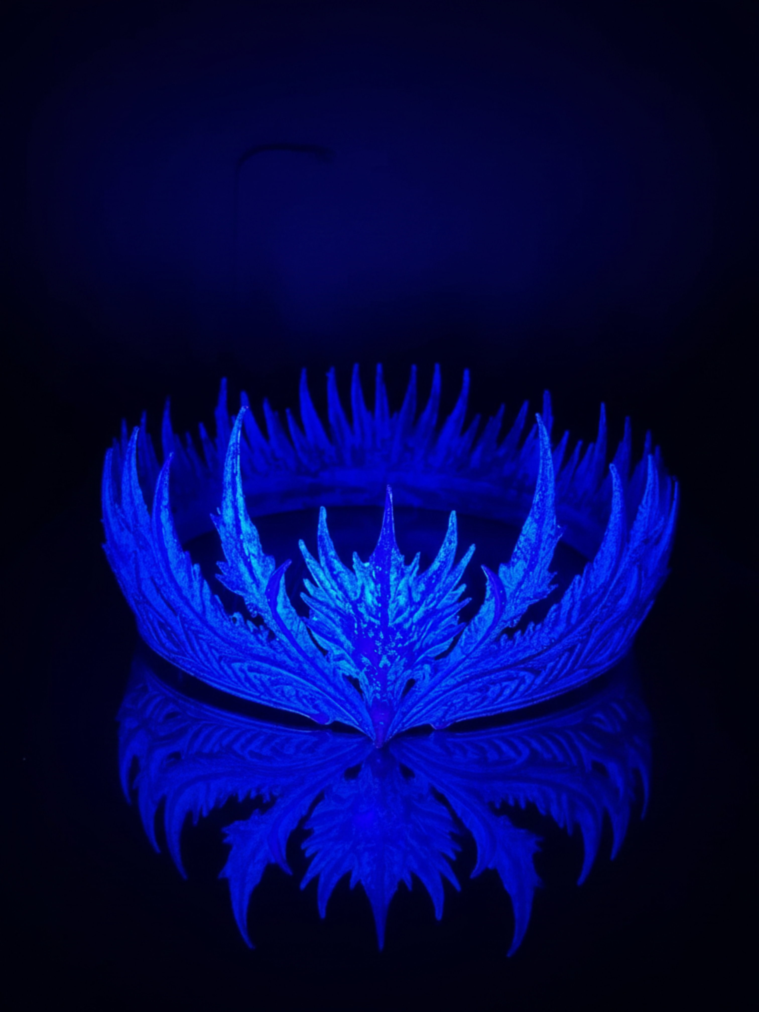 The Crowned Pair | 3D Printed Dragon Crown Collectible