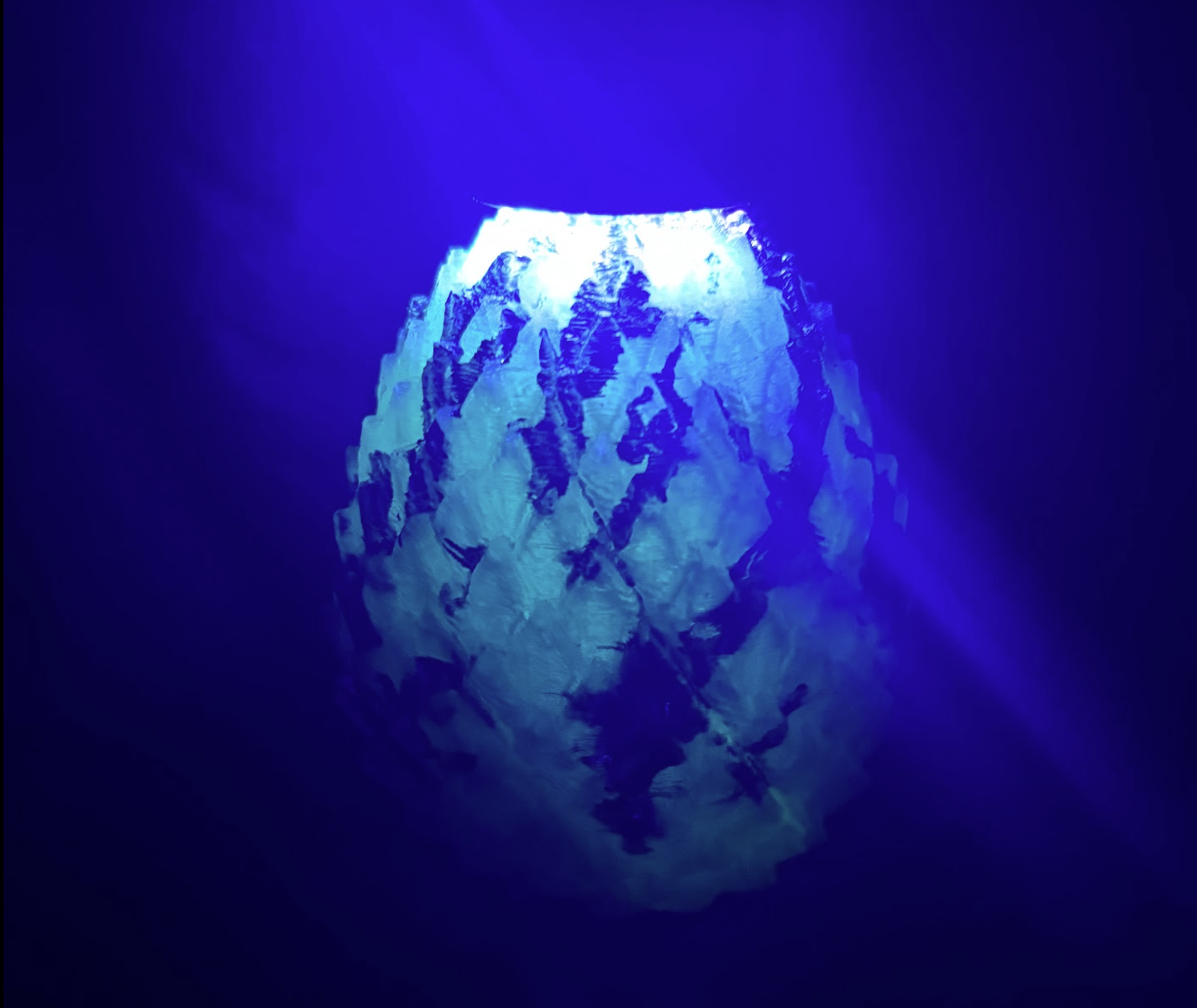 The Silver-Veined Egg
