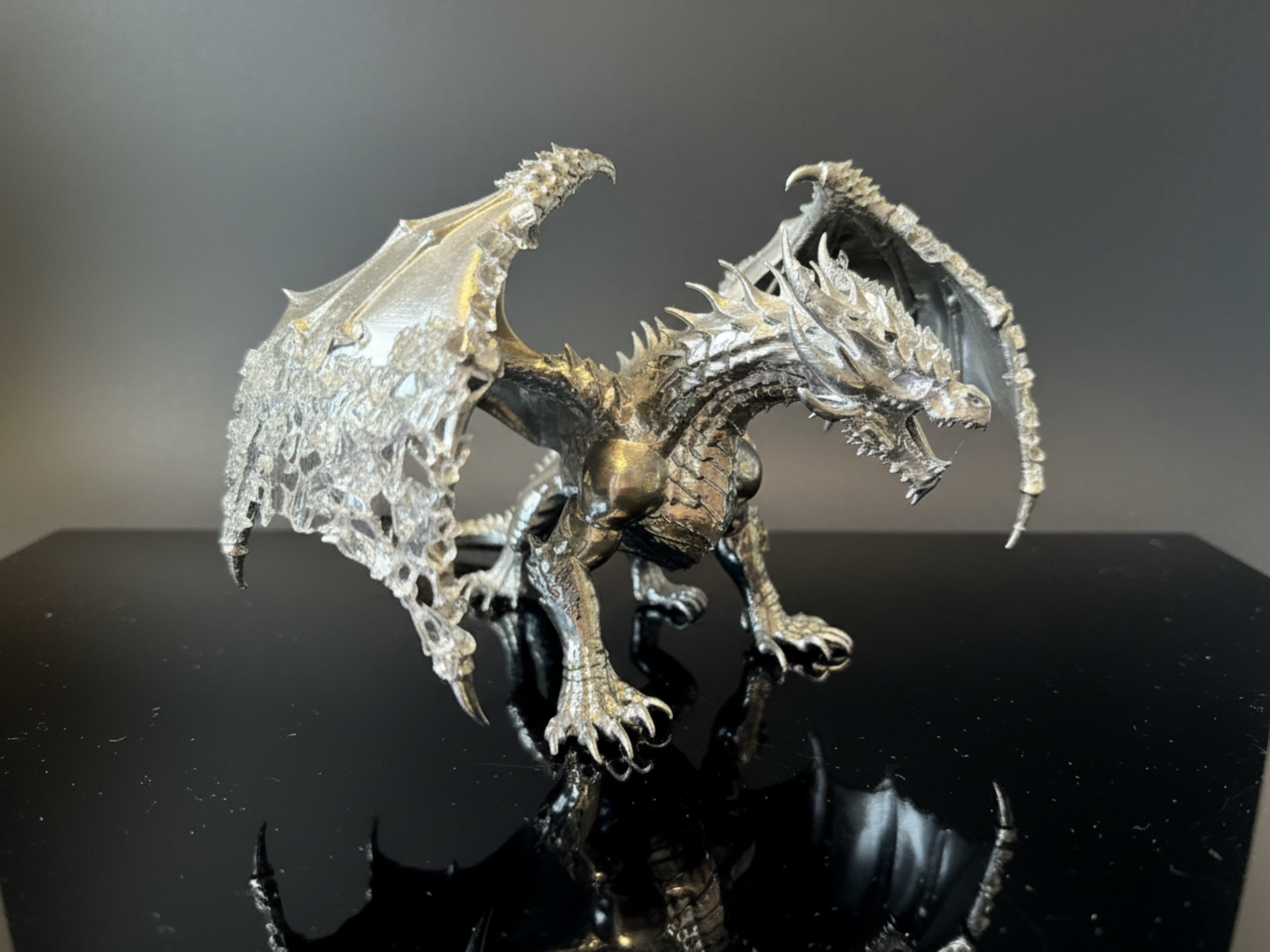 Mirrored Dragon