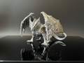 Mirrored Dragon